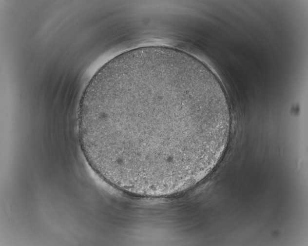 X0000111171143200908121041