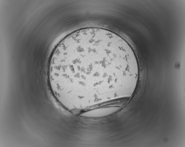 X0000111171144200908121041