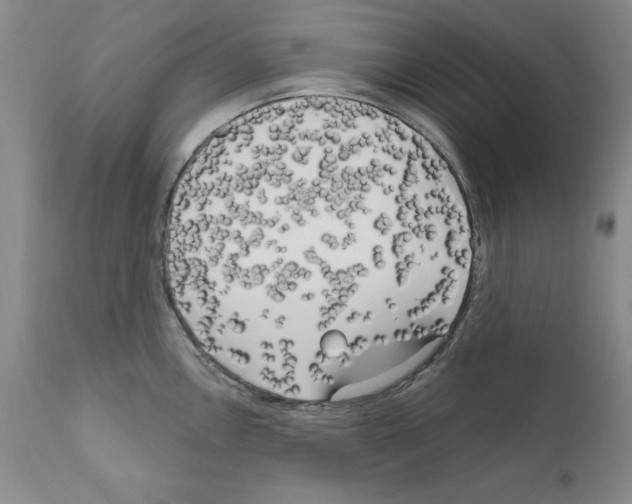 X0000111171146200908121041