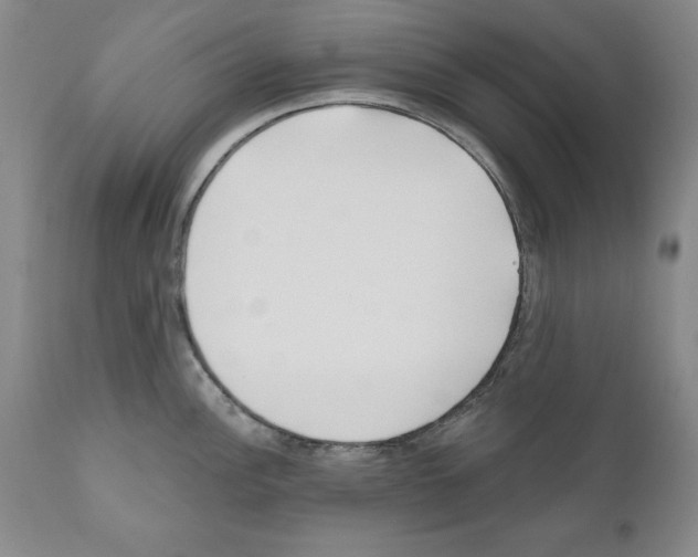 X0000111171148200908121041