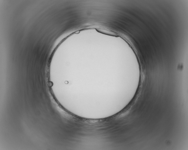 X0000111171149200908121041