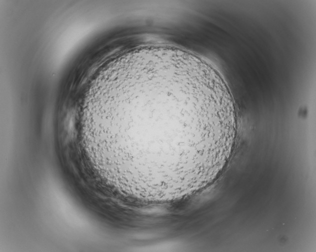 X0000111171150200908121041