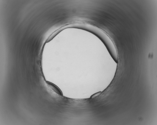 X0000111171152200908121041