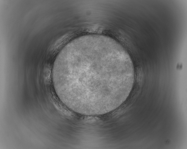 X0000111171154200908121040