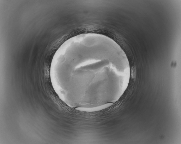 X0000111171155200908121040