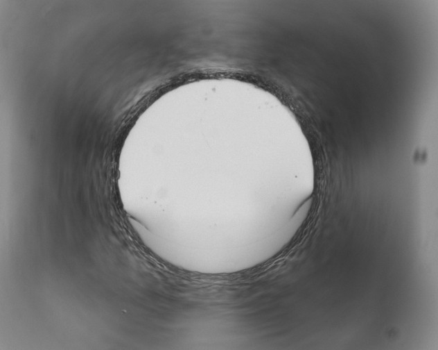 X0000111171157200908121040