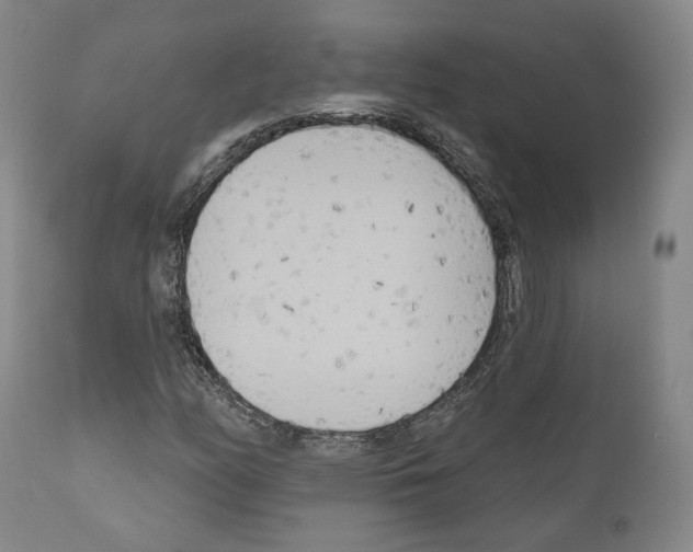 X0000111171158200908121040