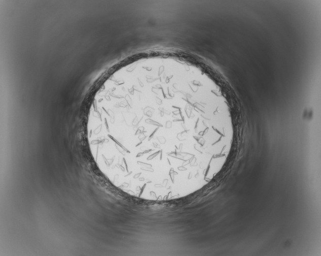 X0000111171160200908121040