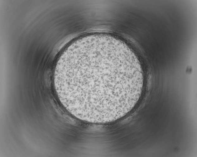 X0000111171162200908121040