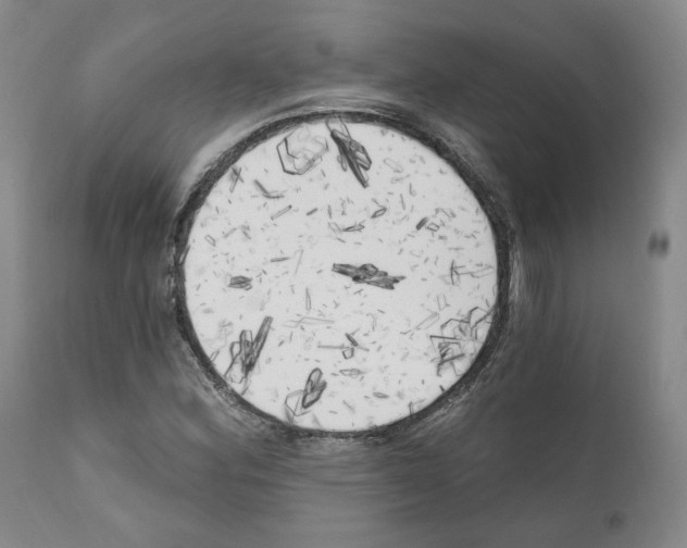 X0000111171164200908121040