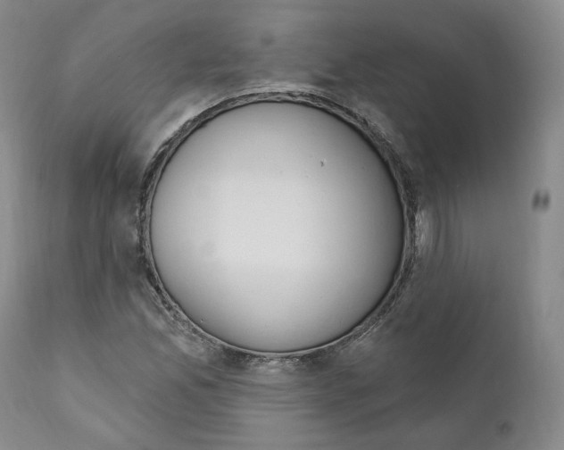 X0000111171165200908121040