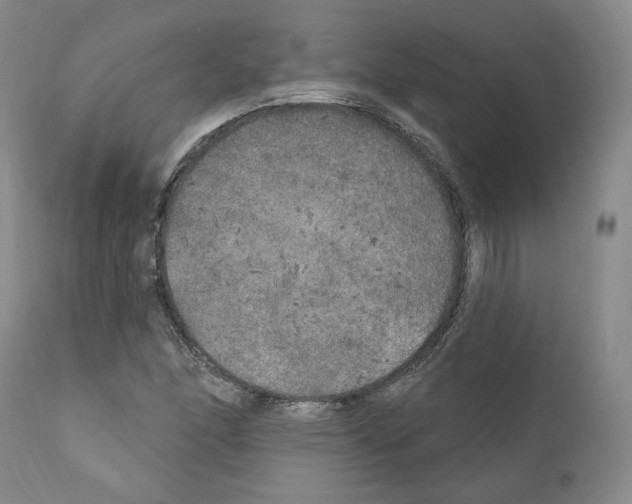 X0000111171166200908121040