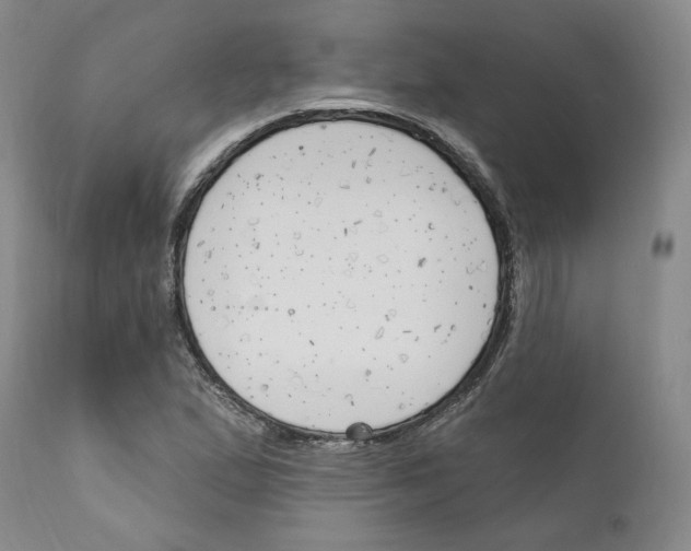 X0000111171167200908121040