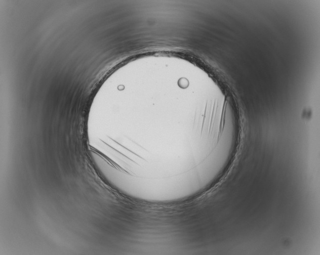 X0000111171169200908121040