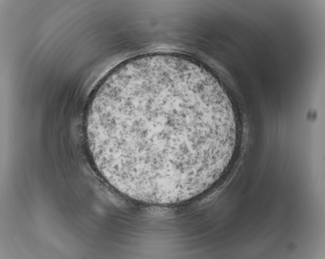 X0000111171170200908121040