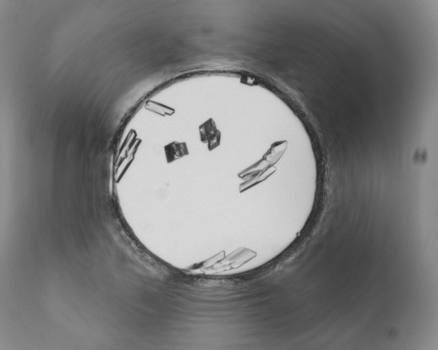 X0000111171171200908121040