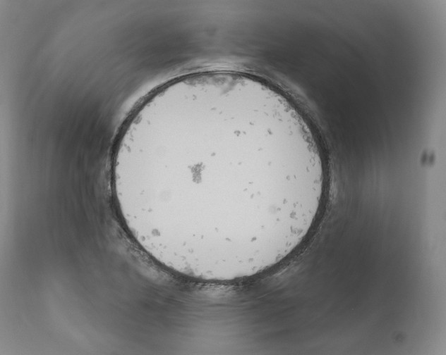 X0000111171174200908121040