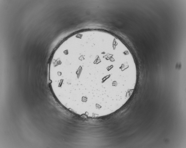 X0000111171175200908121040