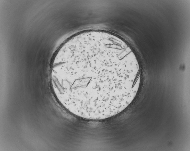 X0000111171176200908121040