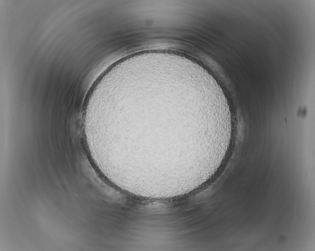 X0000111171178200908121040