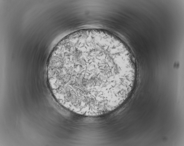 X0000111171179200908121040