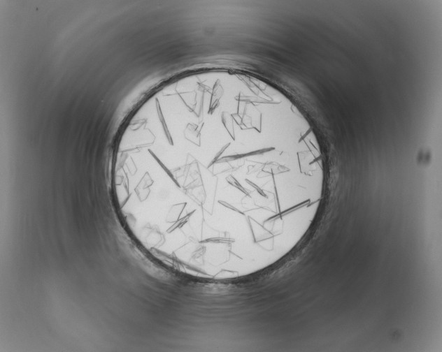 X0000111171180200908121040