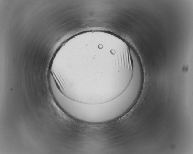 X0000111171181200908121040