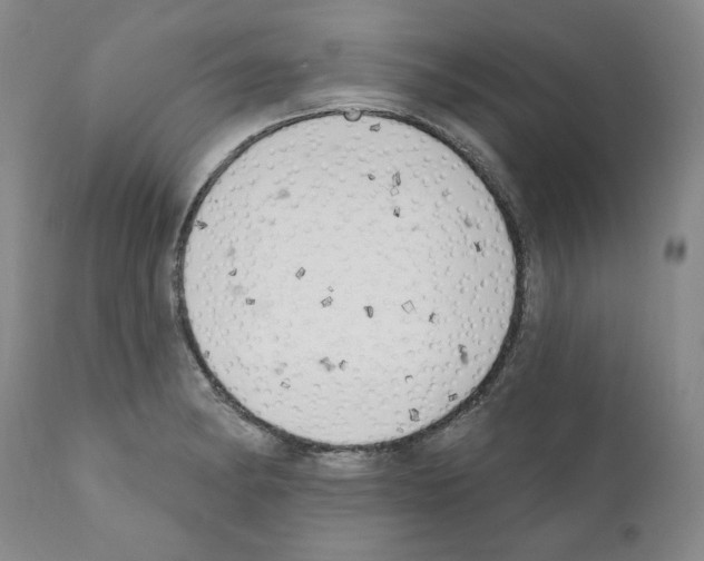 X0000111171182200908121039