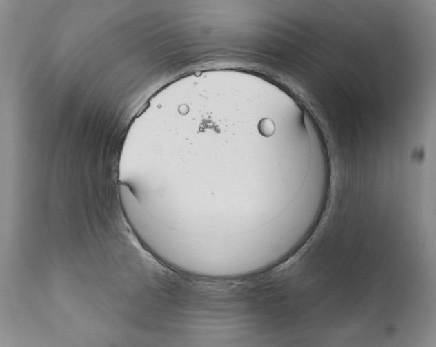 X0000111171185200908121039