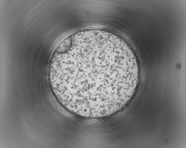 X0000111171186200908121039