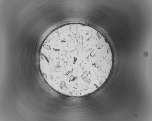 X0000111171188200908121039