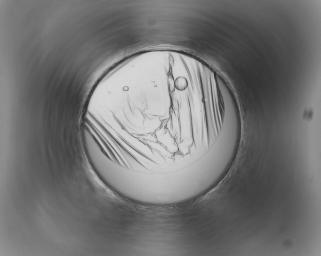 X0000111171189200908121039