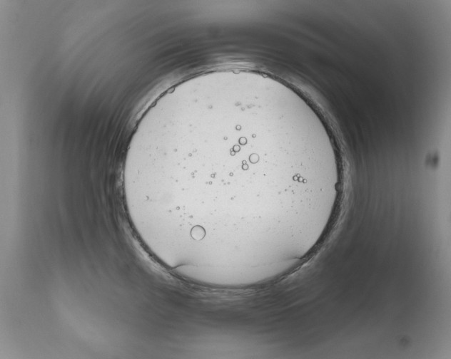 X0000111171193200908121039