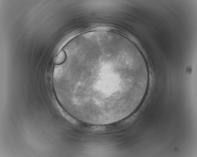 X0000111171194200908121039