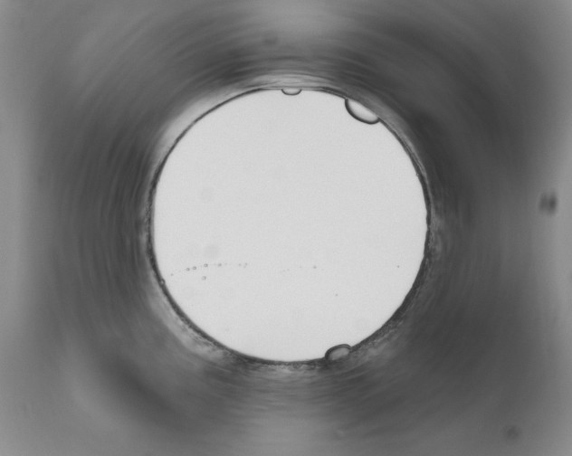 X0000111171195200908121039