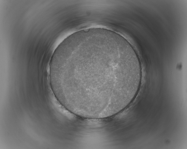 X0000111171198200908121039