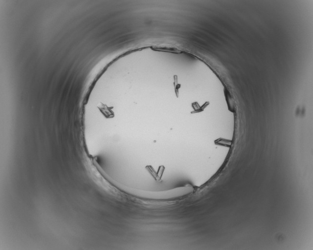 X0000111171200200908121039