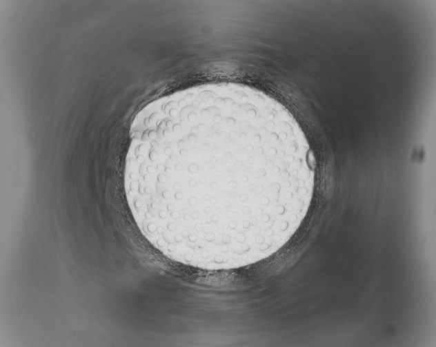 X0000111171201200908121039