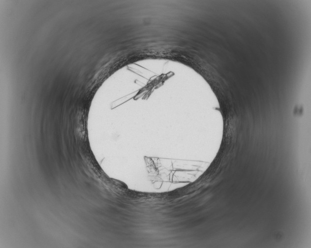 X0000111171202200908121039