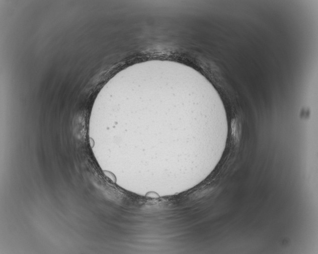 X0000111171203200908121039