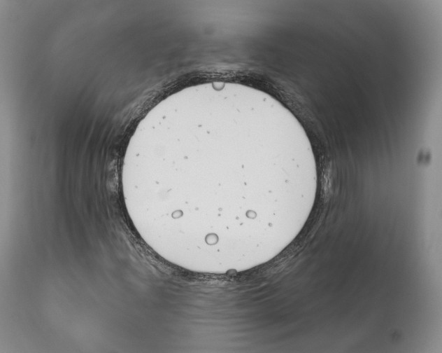 X0000111171204200908121039