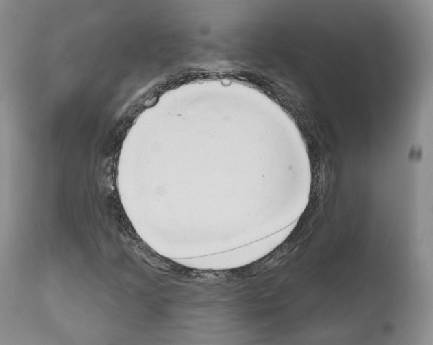 X0000111171205200908121039