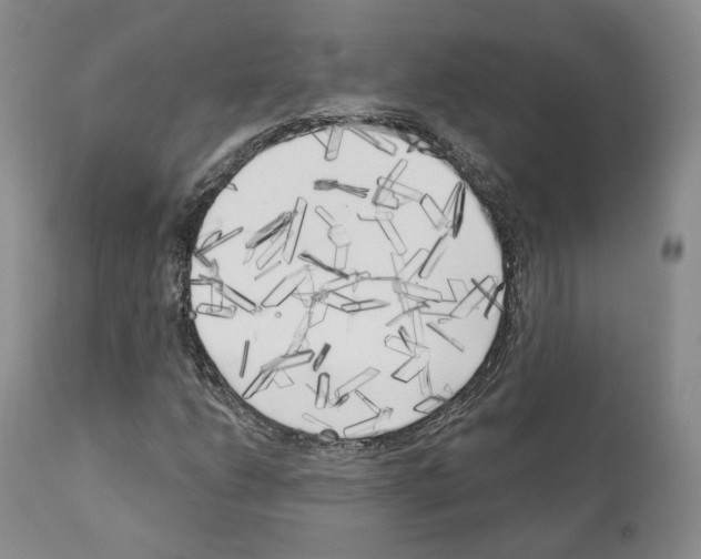 X0000111171206200908121039