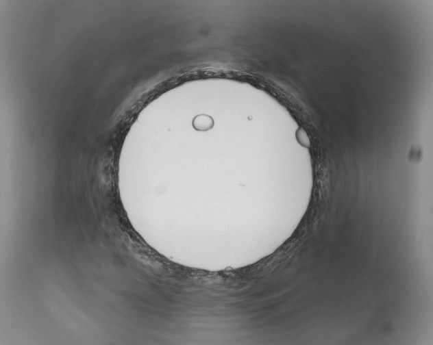 X0000111171207200908121039