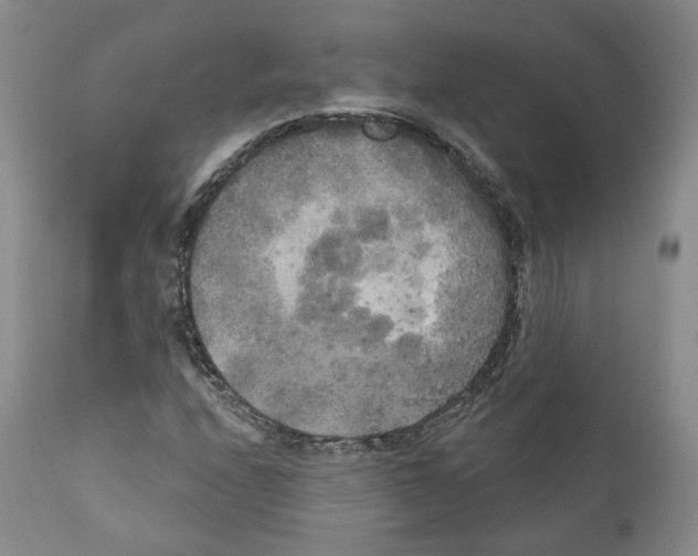 X0000111171208200908121039