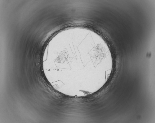 X0000111171210200908121039