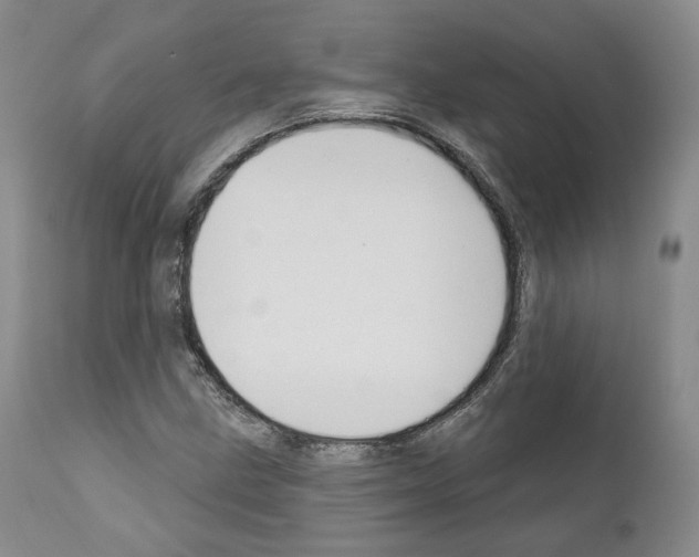 X0000111171211200908121039