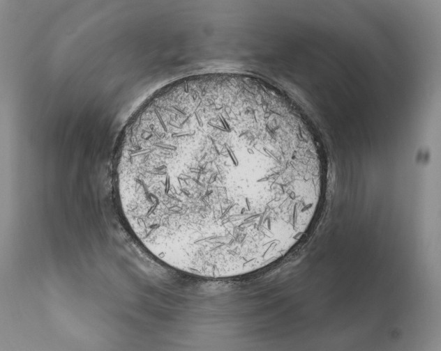 X0000111171212200908121039