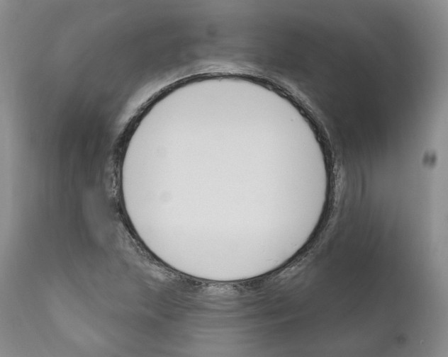 X0000111171215200908121039