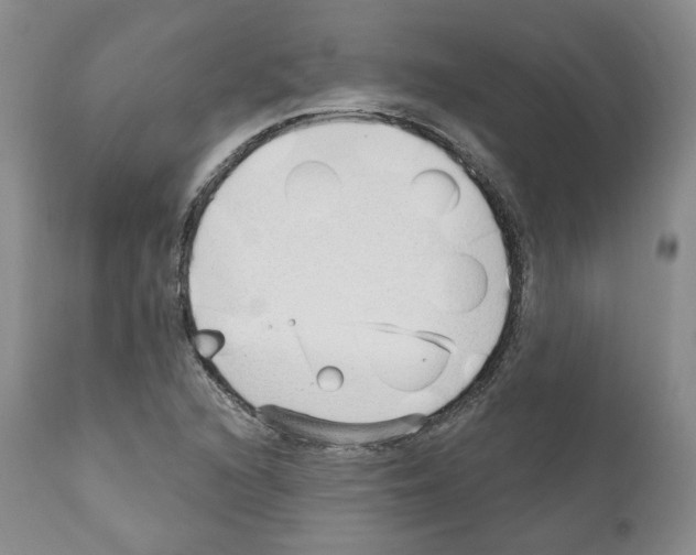 X0000111171216200908121039